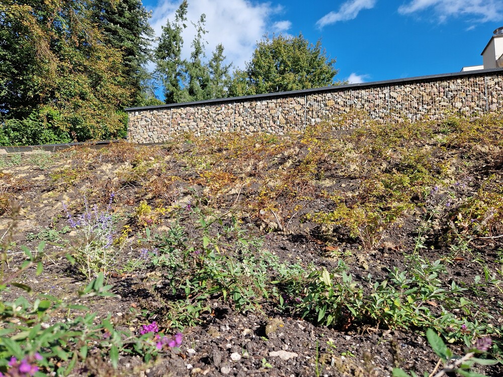 Engelse landschapstuin