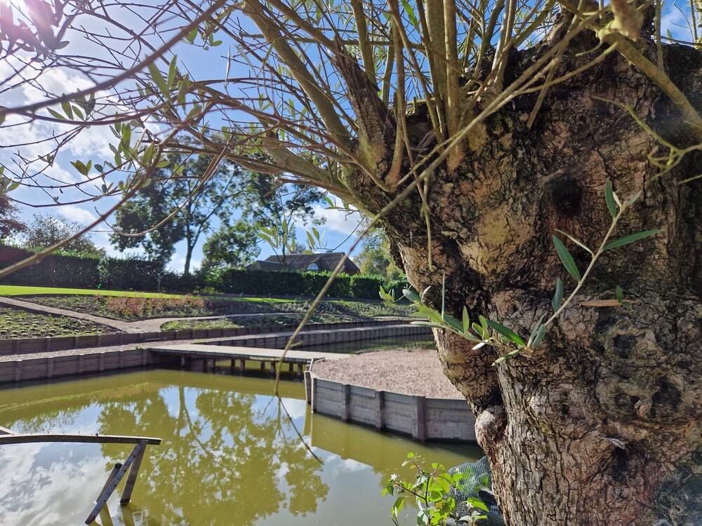 Engelse landschapstuin