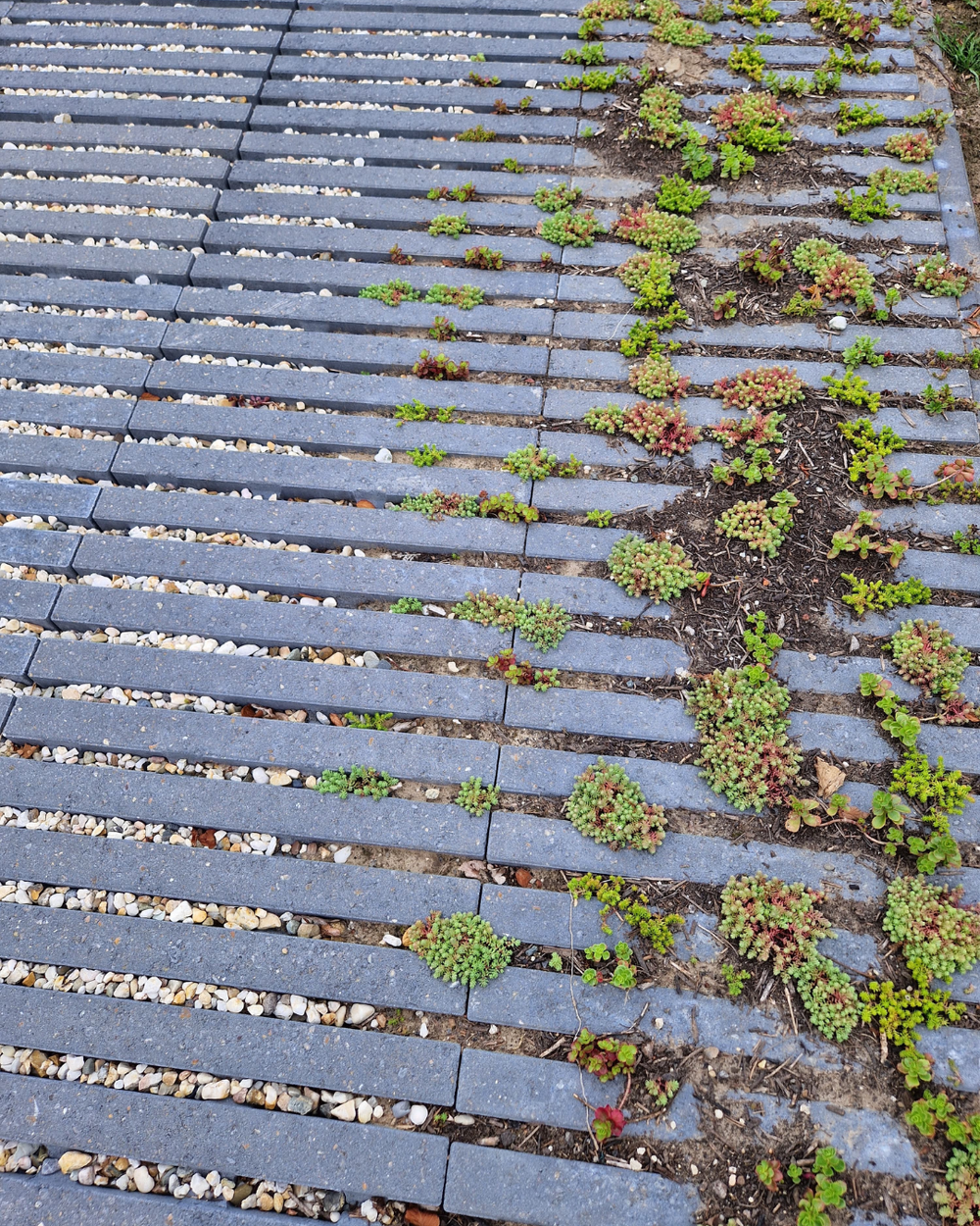 Waterpasserende bestrating: groen, praktisch en duurzaam