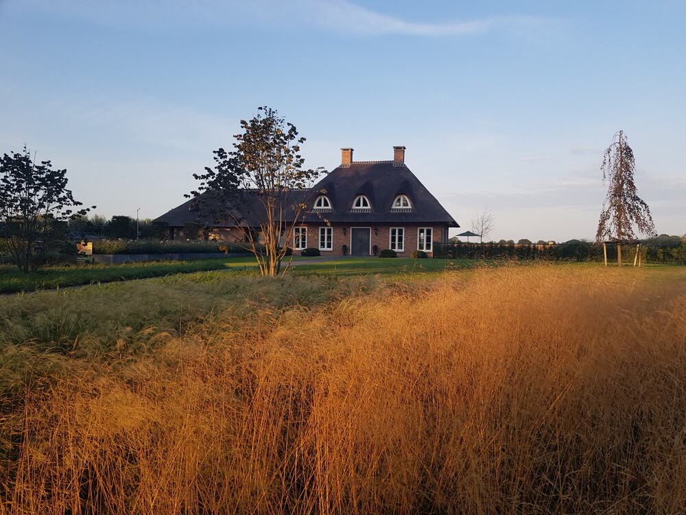 Luxe en landelijke tuin