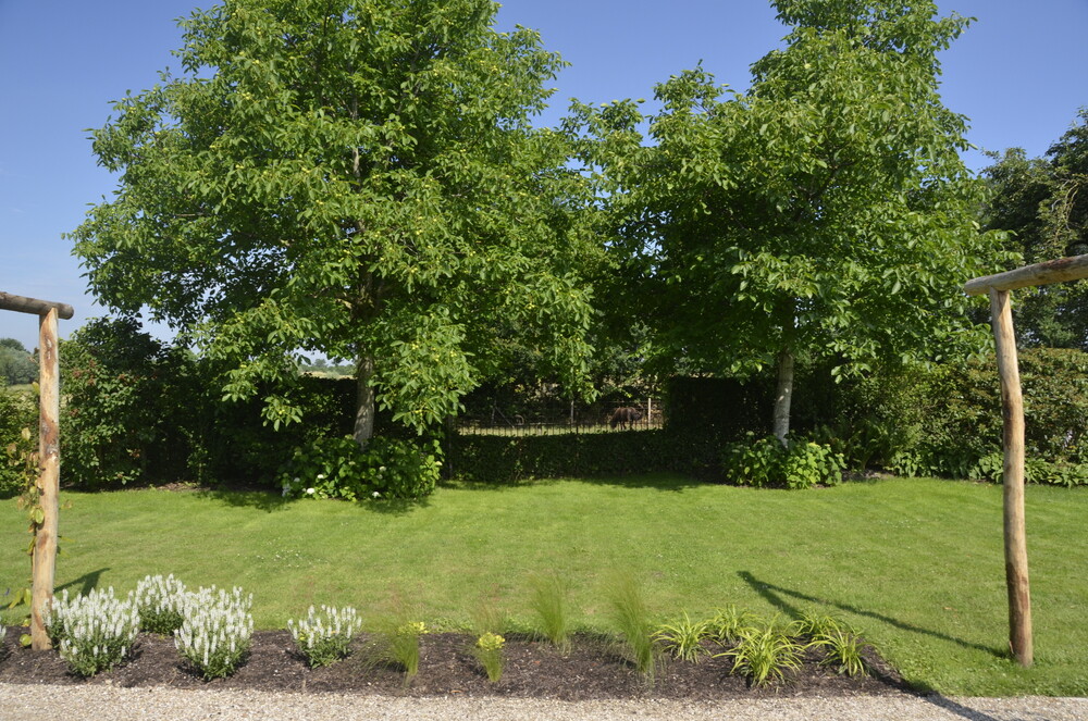 Renovatie van een bestaande boerderijtuin