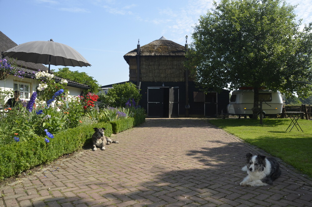 Renovatie van een bestaande boerderijtuin