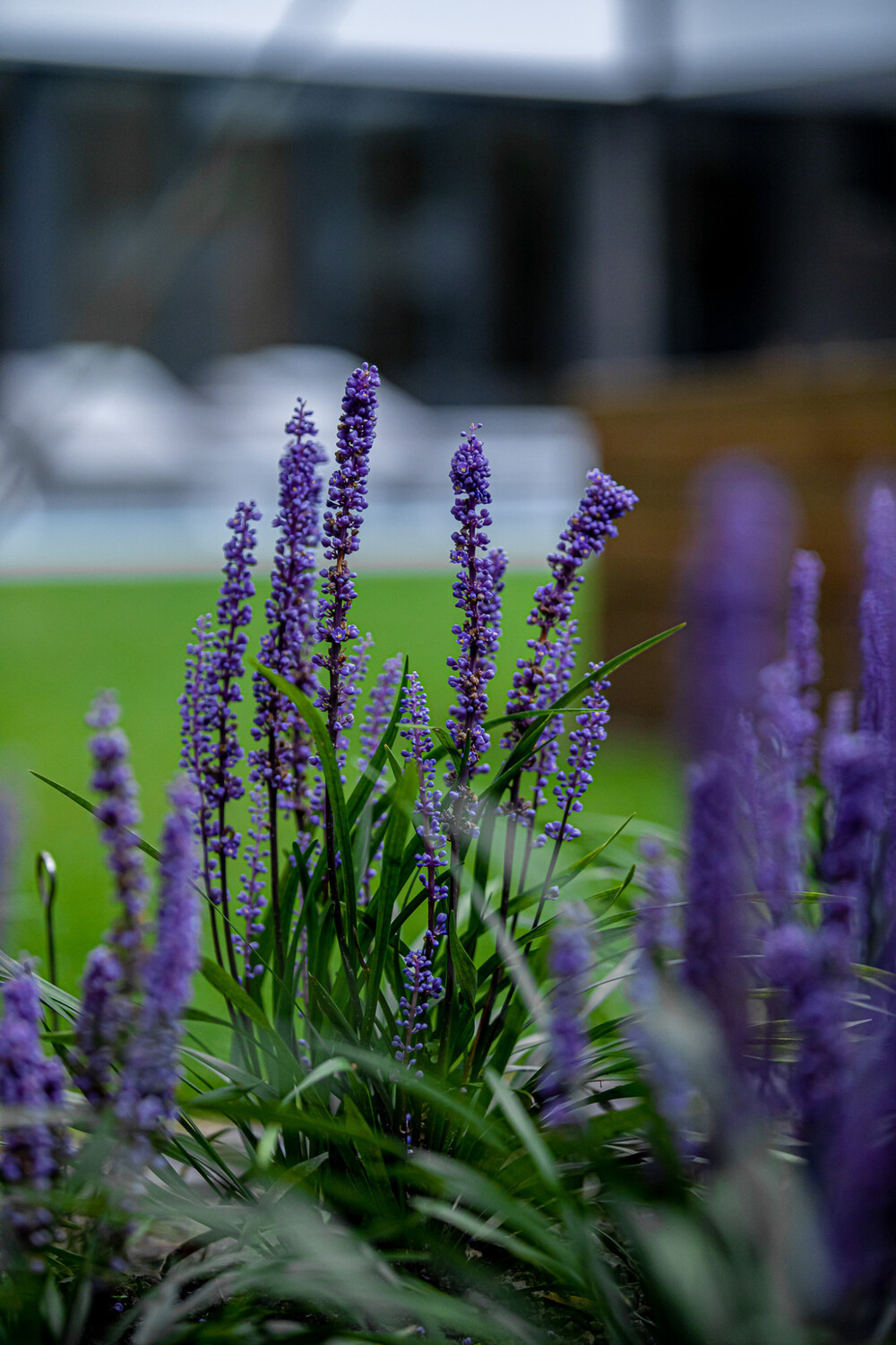 Stijlvolle wellnesstuin