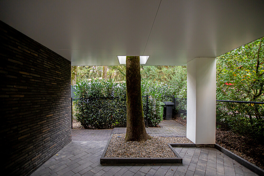 Stijlvolle wellnesstuin