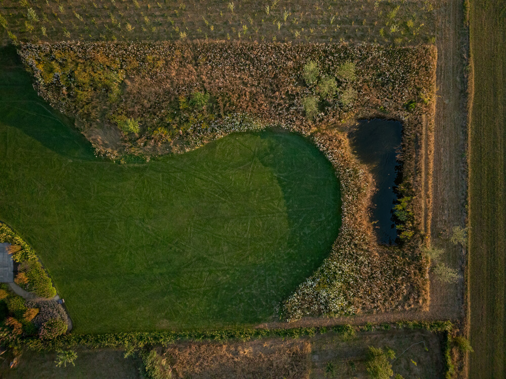 Droomtuin in het buitengebied