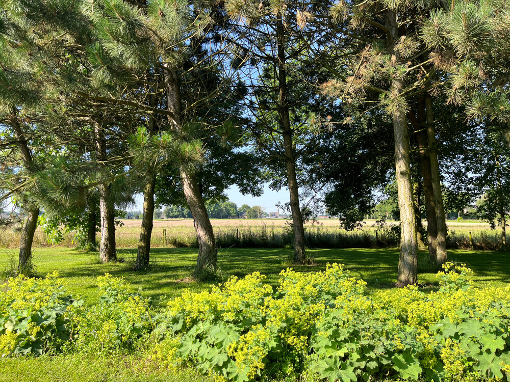 Parkachtige uitstraling