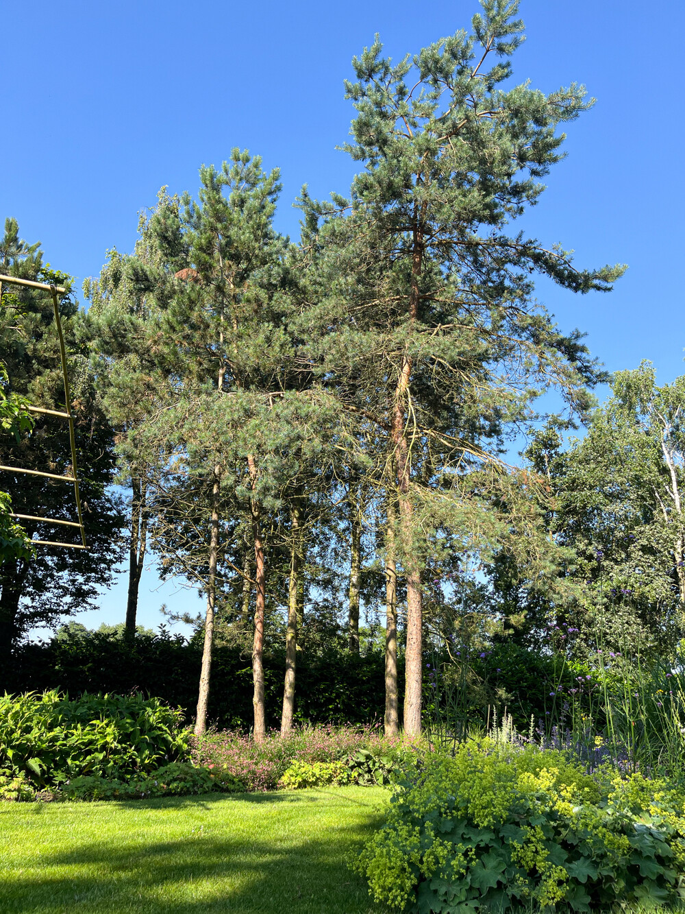 Parkachtige uitstraling