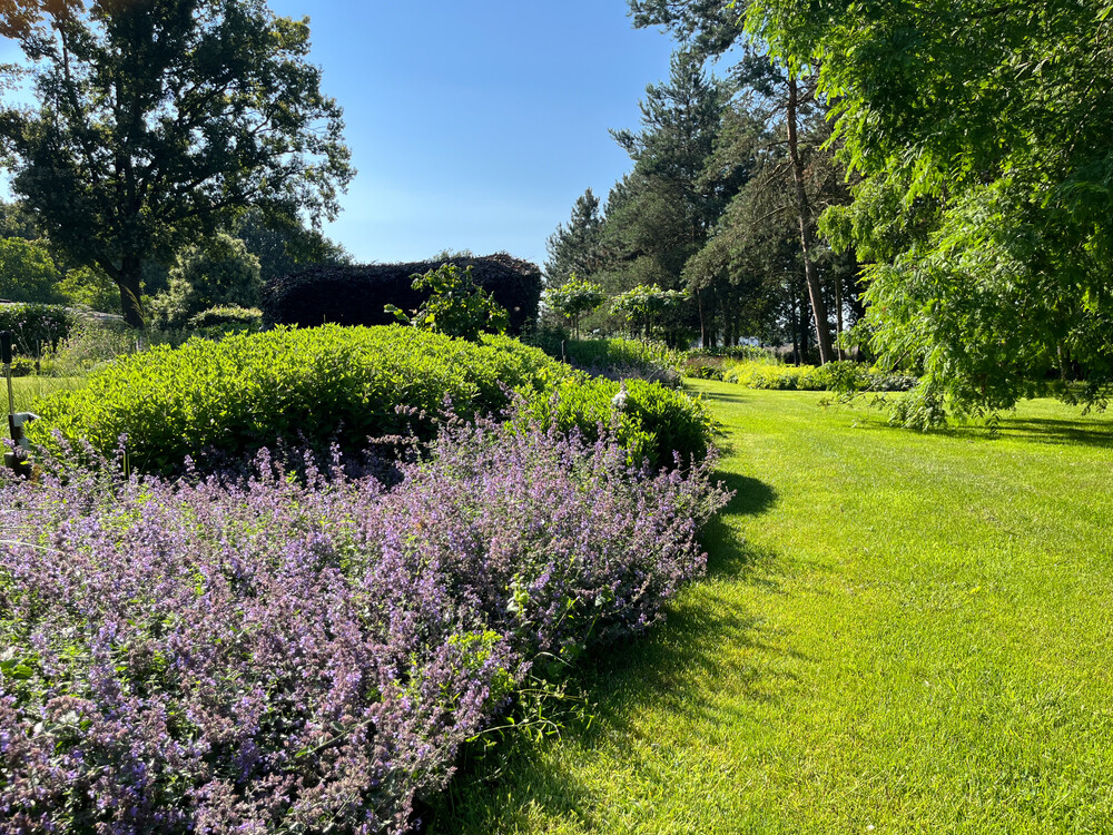 Parkachtige uitstraling