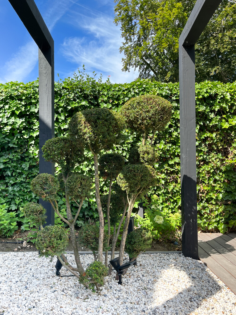 Moderne en onderhouds-vriendelijke tuin