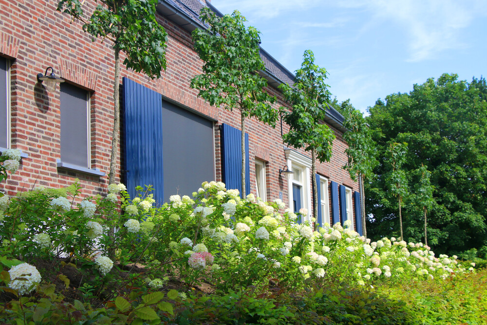 Landelijke droomtuin