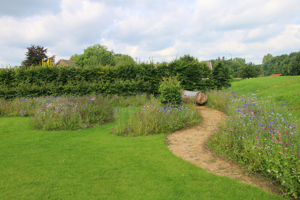 Landelijke droomtuin