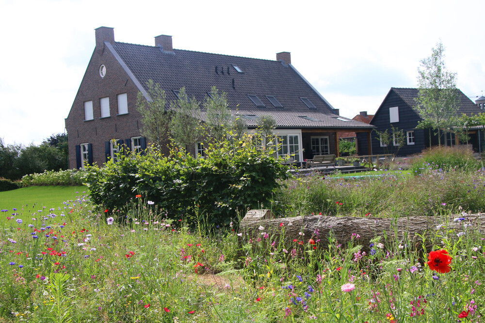 Landelijke droomtuin