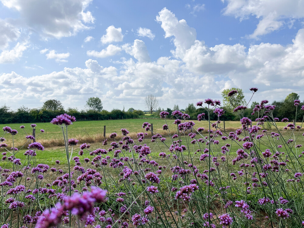 Landelijke wellnesstuin