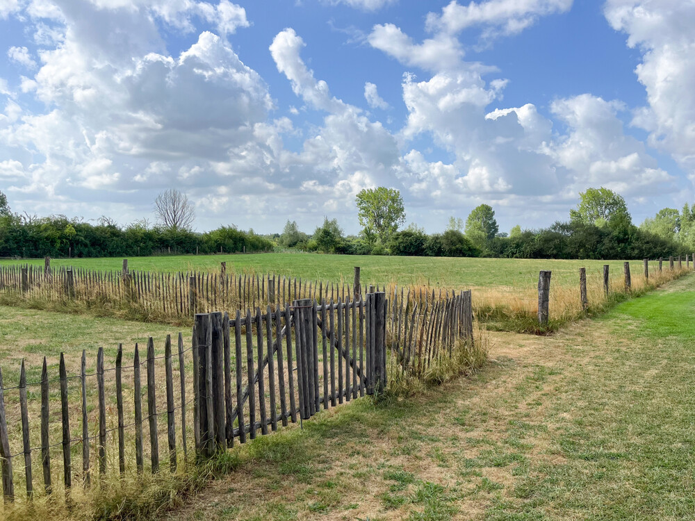 Landelijke wellnesstuin
