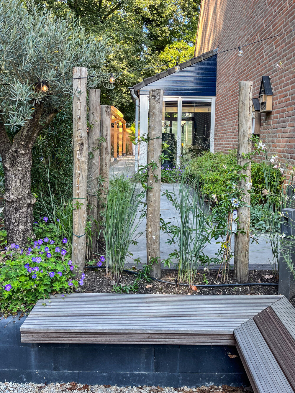 Vakantie tuin aan de bosrand