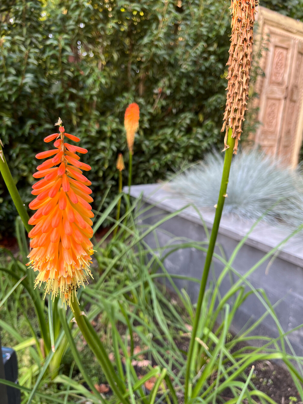 Vakantie tuin aan de bosrand