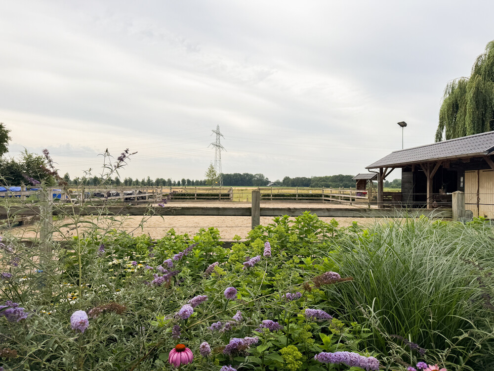 Belevingstuin bij voormalig station