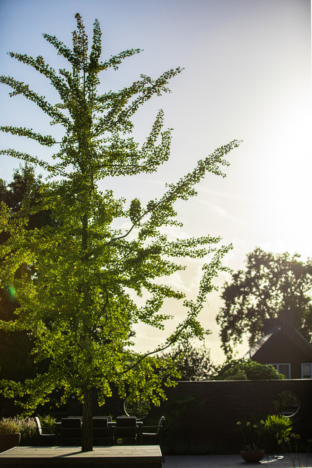 Twee tuinstijlen in één