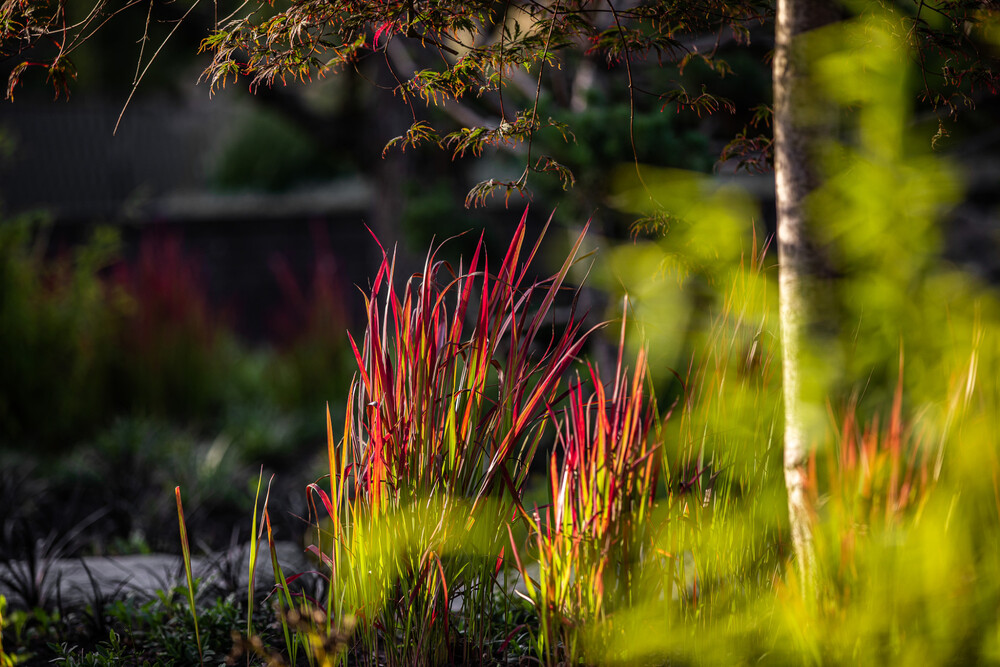 Twee tuinstijlen in één