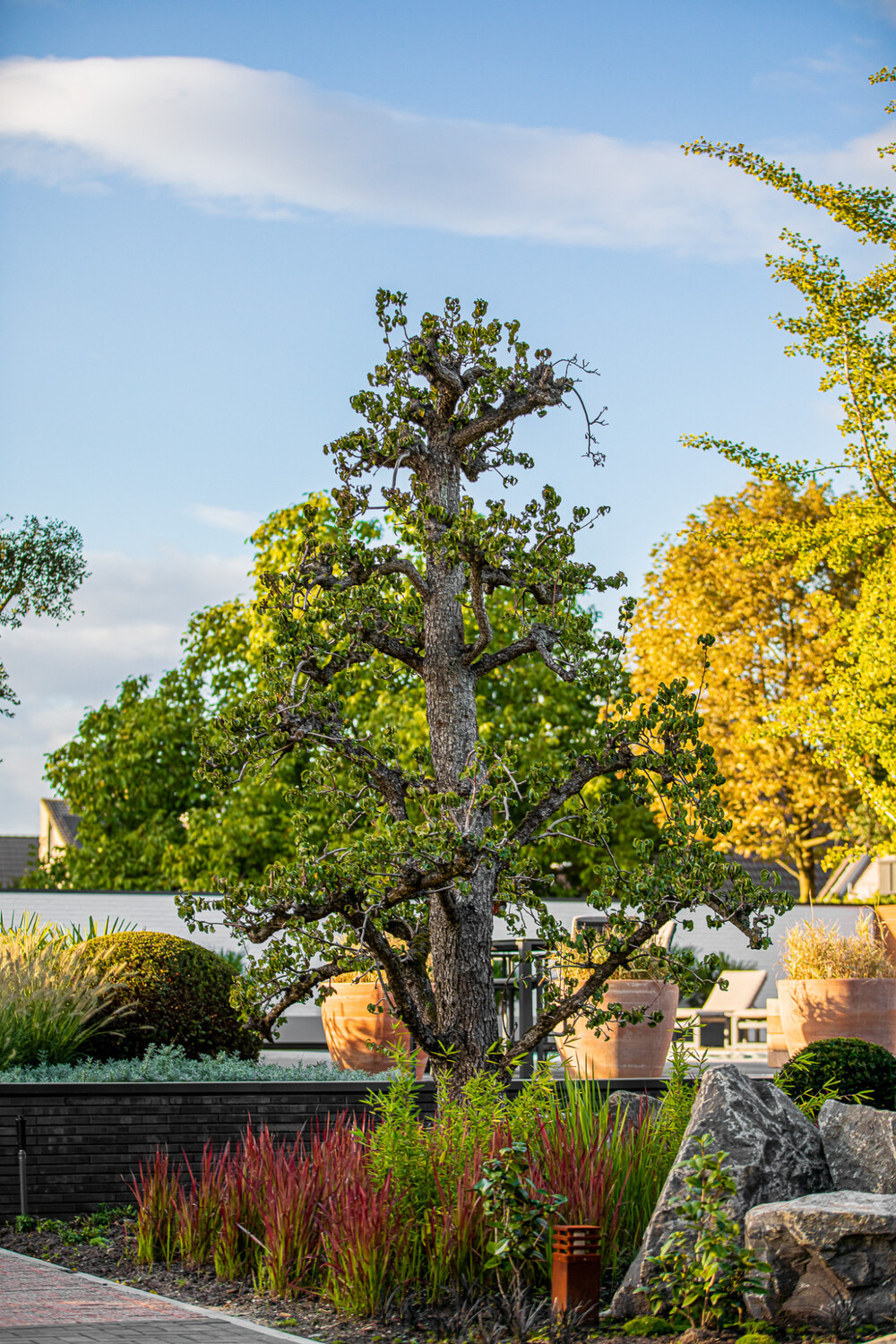 Twee tuinstijlen in één