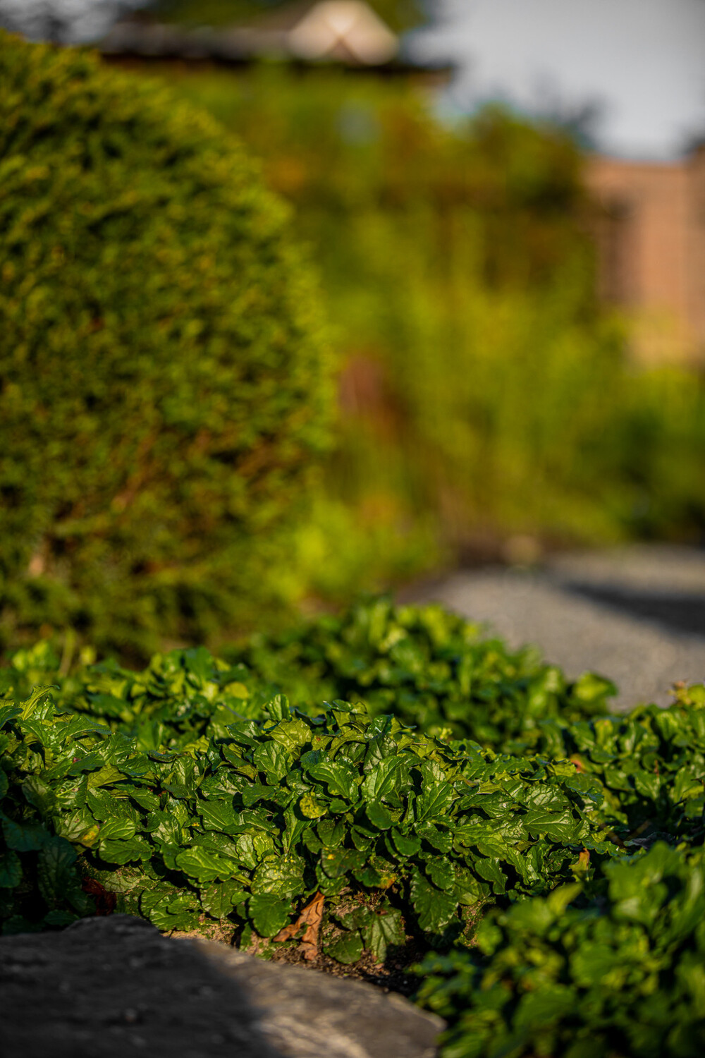 Twee tuinstijlen in één