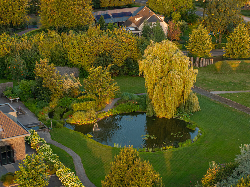 Moderne villa met vijver
