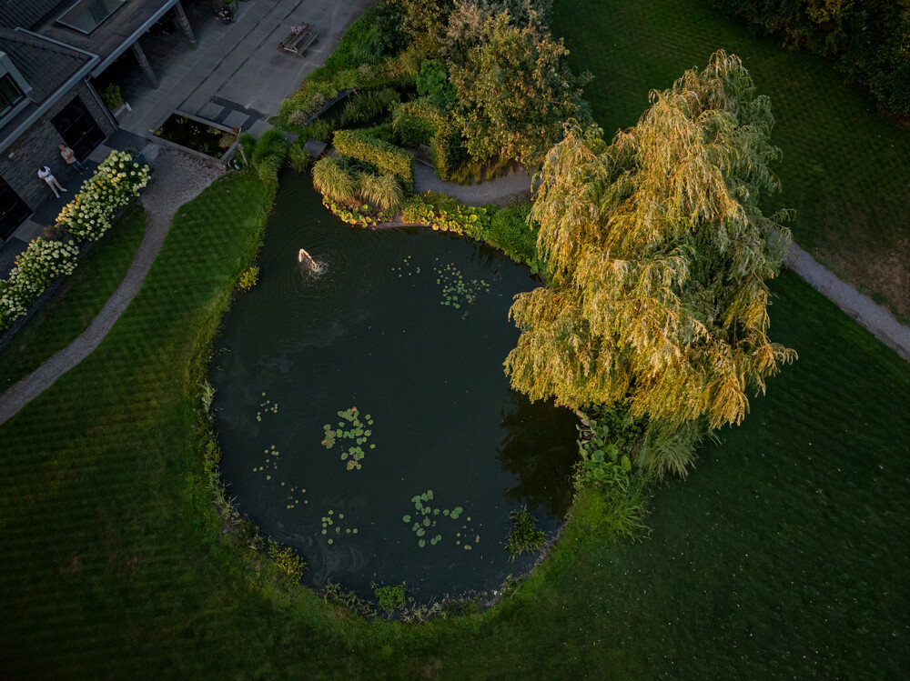 Moderne villa met vijver