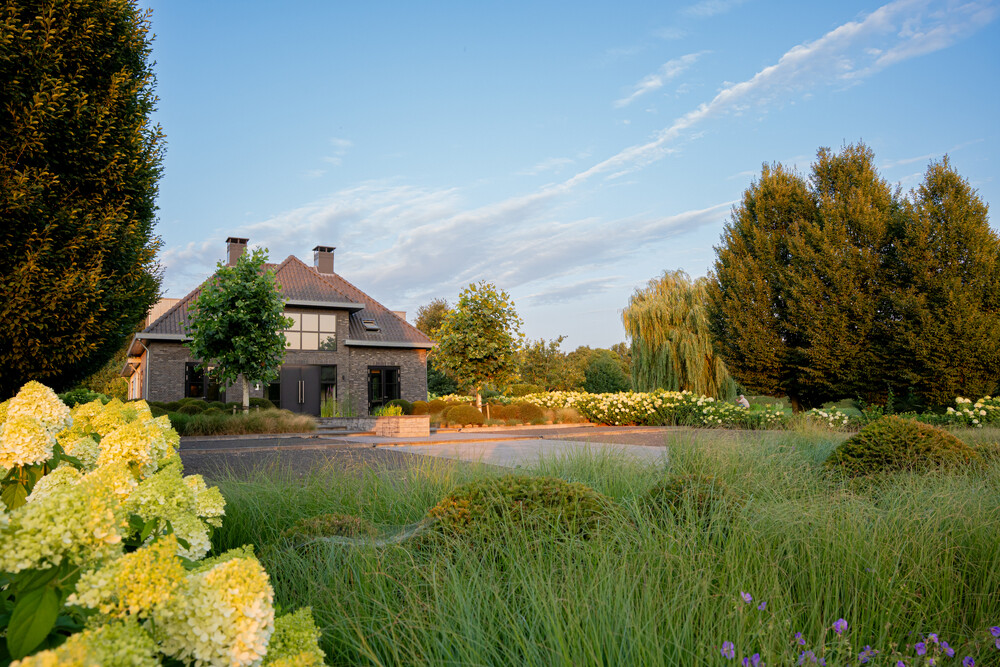 Moderne villa met vijver