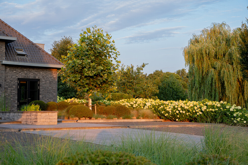 Moderne villa met vijver