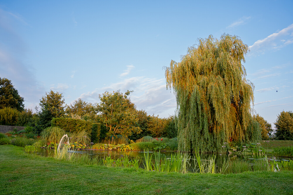 Moderne villa met vijver