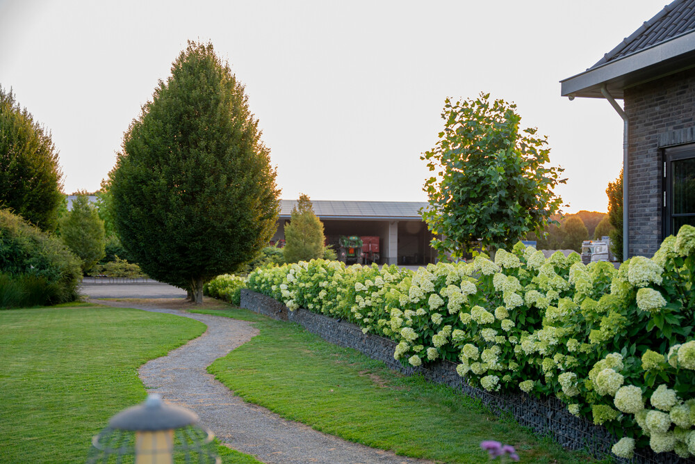 Moderne villa met vijver
