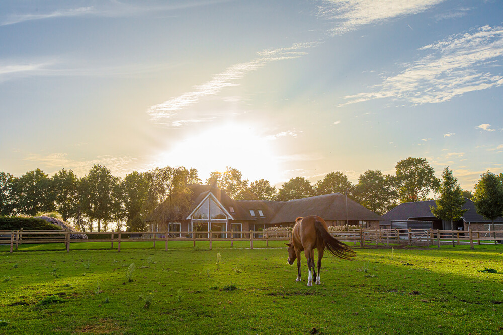 Luxe en landelijke tuin
