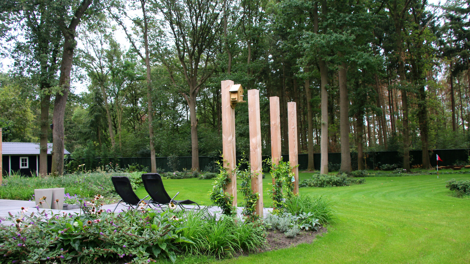 Algemene foto project Bostuin