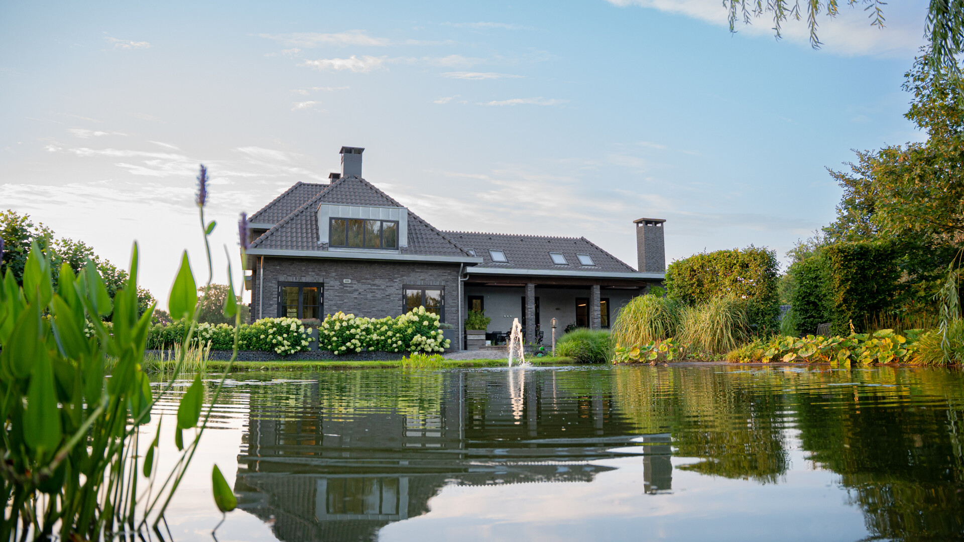 Algemene foto project Moderne villa met vijver